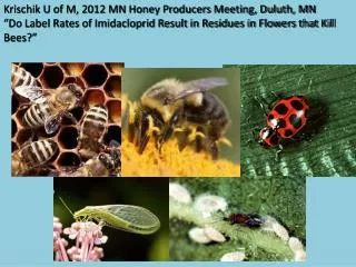 Krischik U of M, 2012 MN Honey Producers Meeting, Duluth, MN “ Do Label Rates of Imidacloprid Result in Residues i