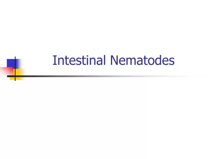 intestinal nematodes