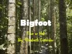 Bigfoot - slide 1
