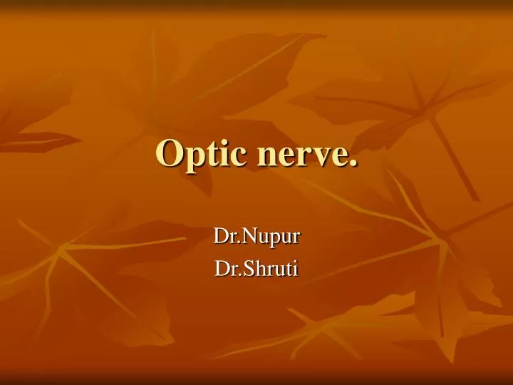 optic nerve