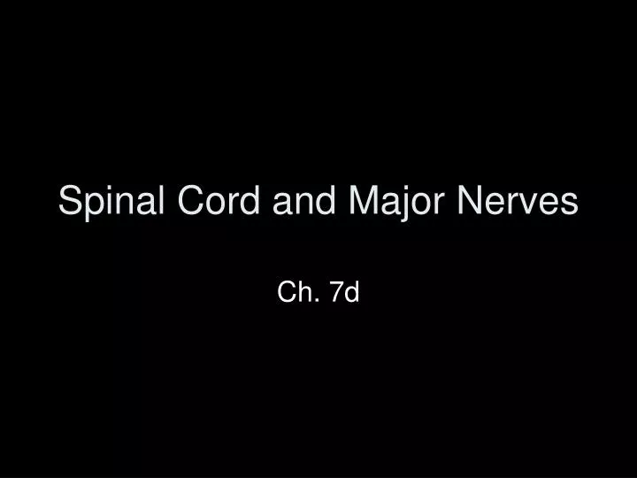 spinal cord and major nerves