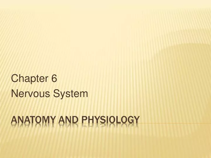 chapter 6 nervous system