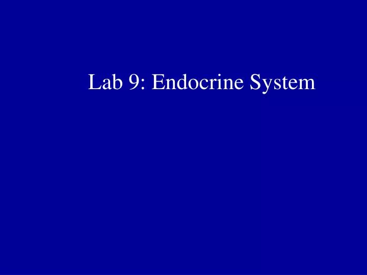 lab 9 endocrine system
