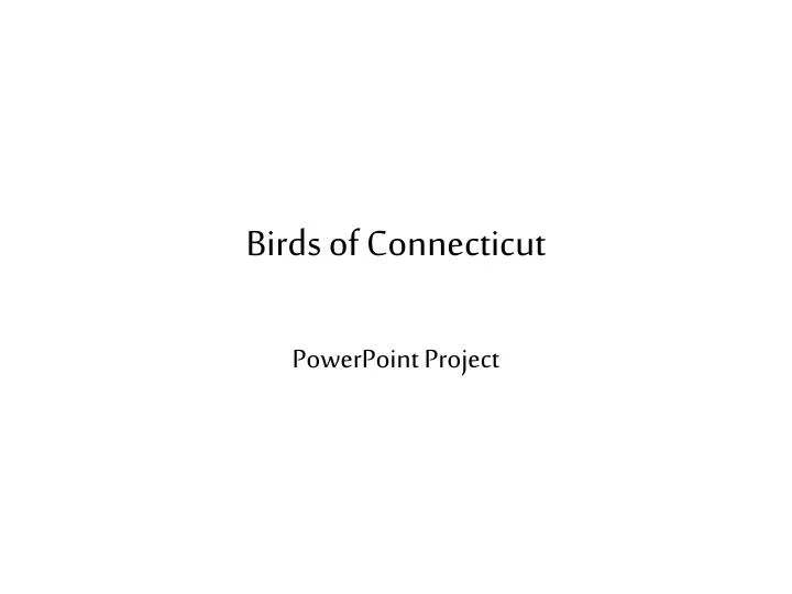 birds of connecticut
