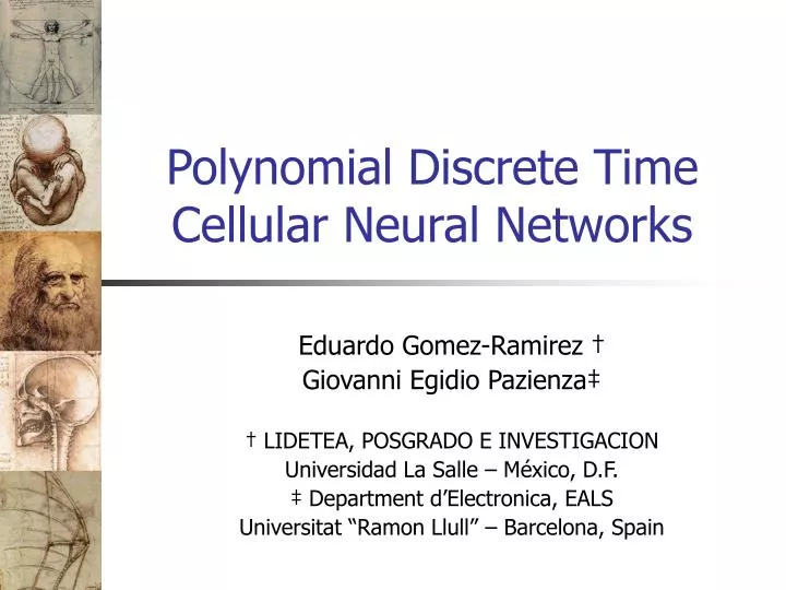 polynomial discrete time cellular neural networks