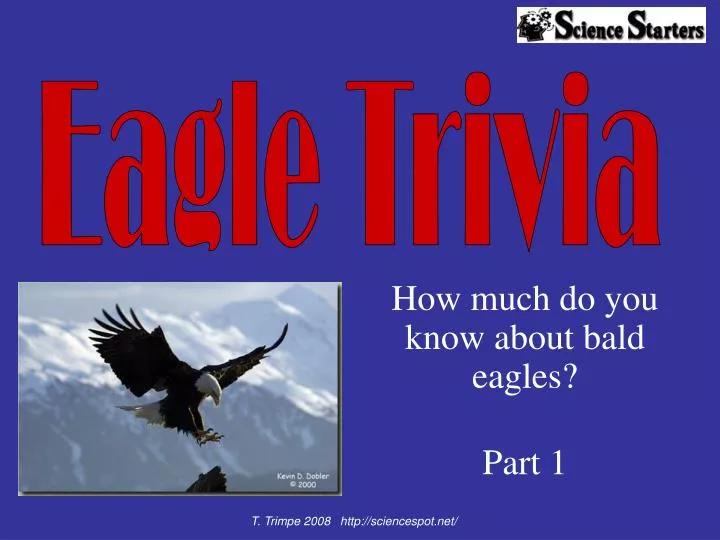 how much do you know about bald eagles part 1