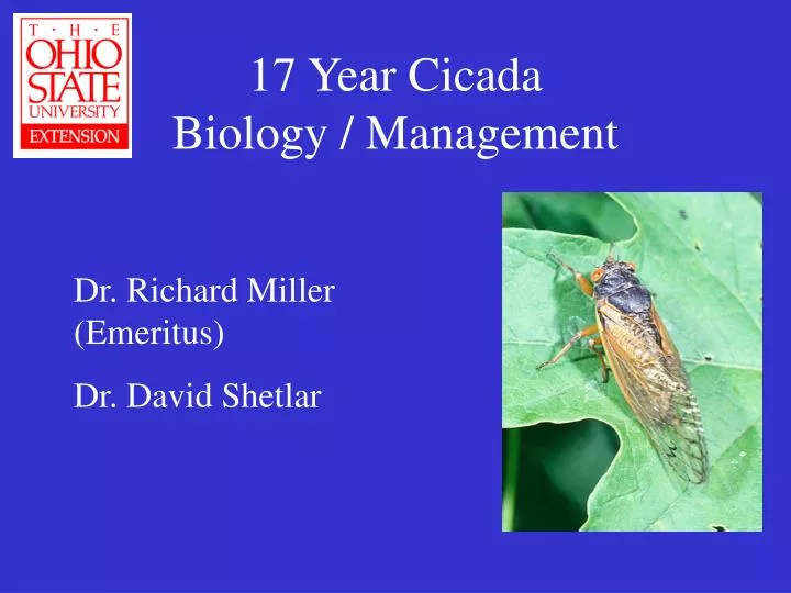 17 year cicada biology management