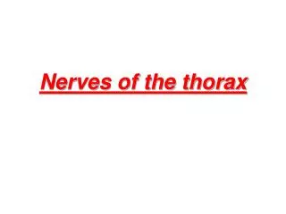Nerves of the thorax