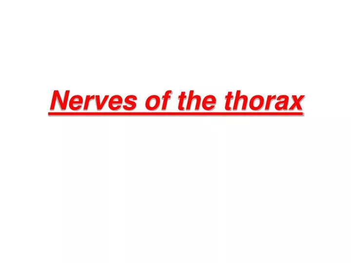 nerves of the thorax