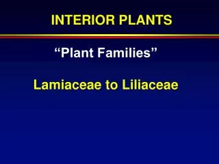 “Plant Families” Lamiaceae to Liliaceae