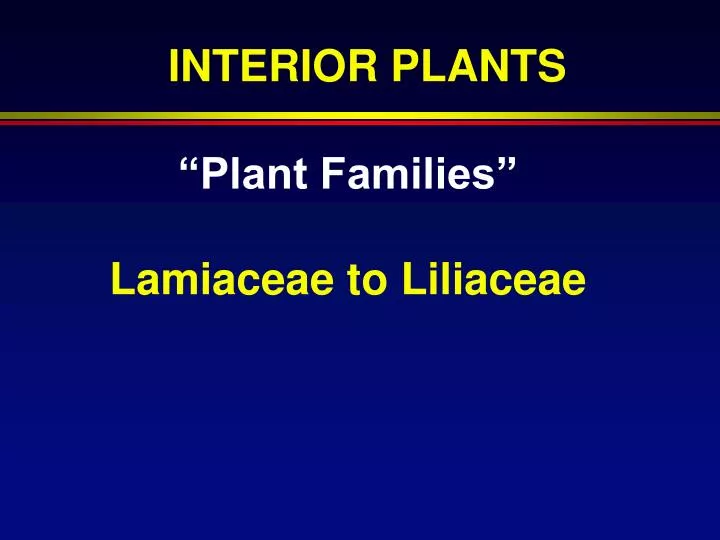 plant families lamiaceae to liliaceae
