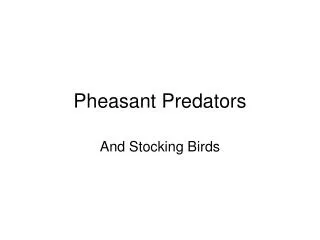 Pheasant Predators