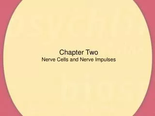 Chapter Two Nerve Cells and Nerve Impulses