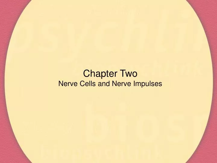 chapter two nerve cells and nerve impulses