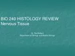 BIO 240 HISTOLOGY REVIEW Nervous Tissue - slide 1
