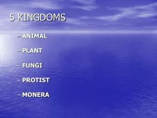 5 KINGDOMS