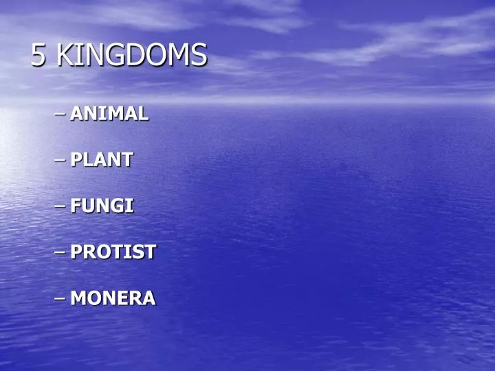 5 kingdoms