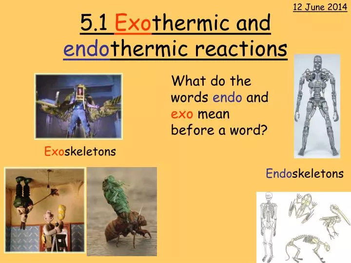 5 1 exo thermic and endo thermic reactions