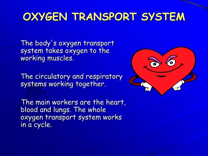 oxygen transport system