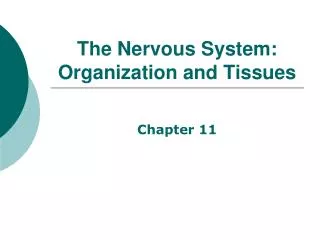 The Nervous System: Organization and Tissues