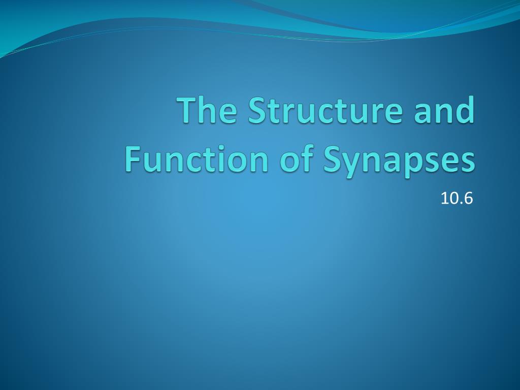 PPT - The Structure and Function of Synapses PowerPoint Presentation ...