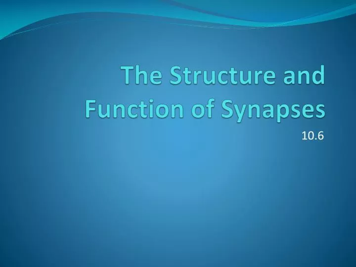 the structure and function of synapses
