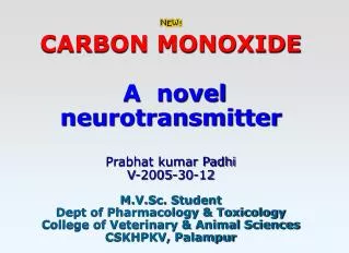 Carbon monoxide &amp; neurotransmission ?!$%@?