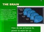 THE BRAIN - slide 1