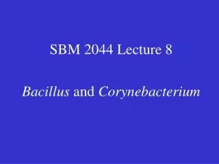 SBM 2044 Lecture 8 Bacillus and Corynebacterium