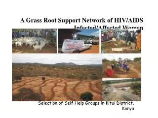 A Grass Root Support Network of HIV/AIDS Infected/Affected Women