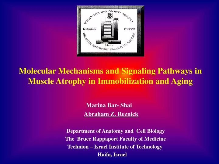 molecular mechanisms and signaling pathways in muscle atrophy in immobilization and aging