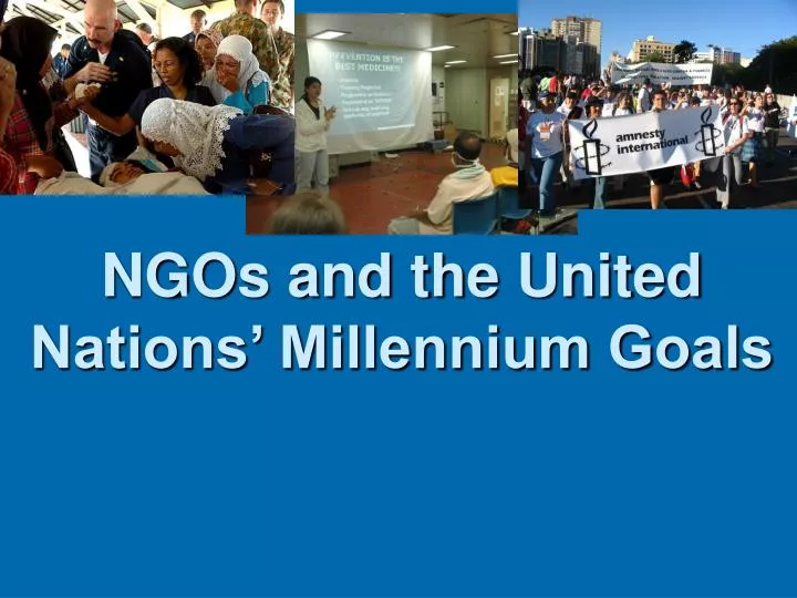 ngos and the united nations millennium goals
