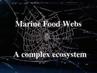 Marine Food Webs