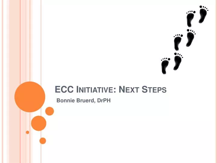 ecc initiative next steps