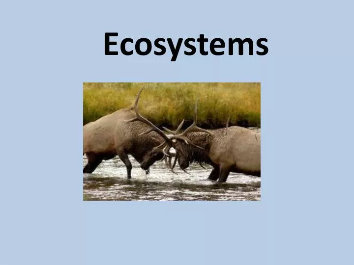 ecosystems