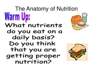 The Anatomy of Nutrition