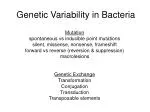 Genetic Variability in Bacteria - slide 1