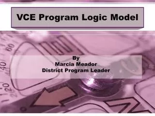 VCE Program Logic Model