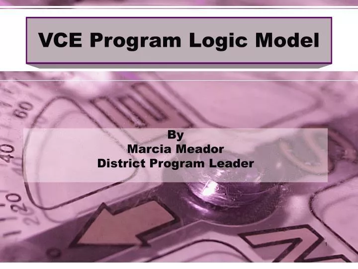 vce program logic model