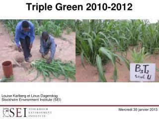 Triple Green 2010-2012