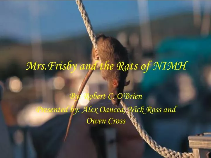 mrs frisby and the rats of nimh