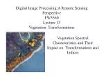 Vegetation Spectral Characteristics and Their Impact on Transformations and Indices - slide 1