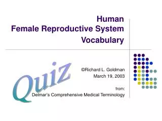 Human Female Reproductive System Vocabulary