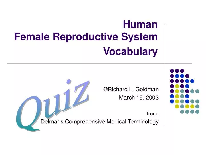 human female reproductive system vocabulary