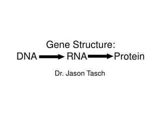 gene structure dna rna protein