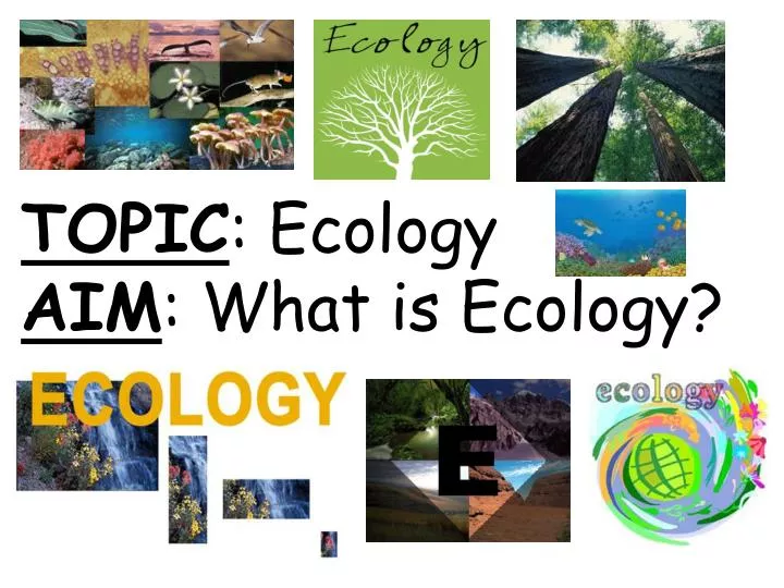 topic ecology aim what is ecology