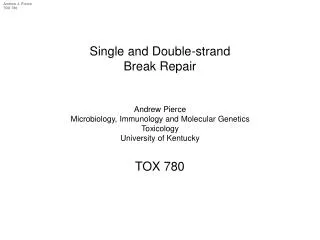 Single and Double-strand Break Repair