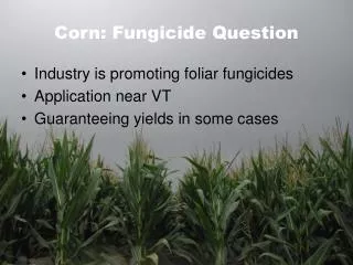 Corn: Fungicide Question
