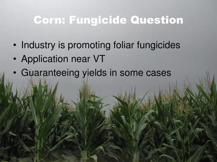 corn fungicide question