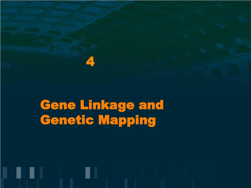 PPT - Gene Linkage and Genetic Mapping PowerPoint Presentation, free ...